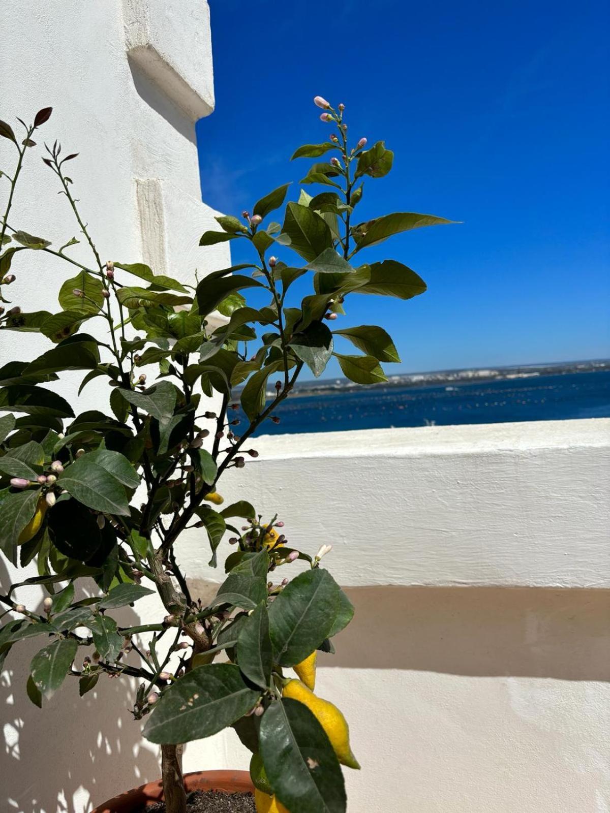 Il Palazzino Apartment Taranto Bagian luar foto